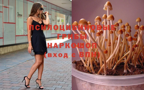 spice Балабаново
