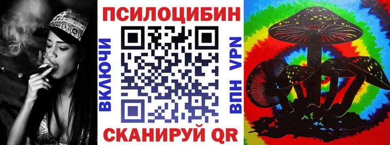 Галлюциногенные грибы Cubensis  Светлогорск 
